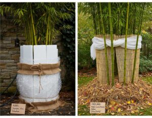 Mehr über den Artikel erfahren Bambus abdecken