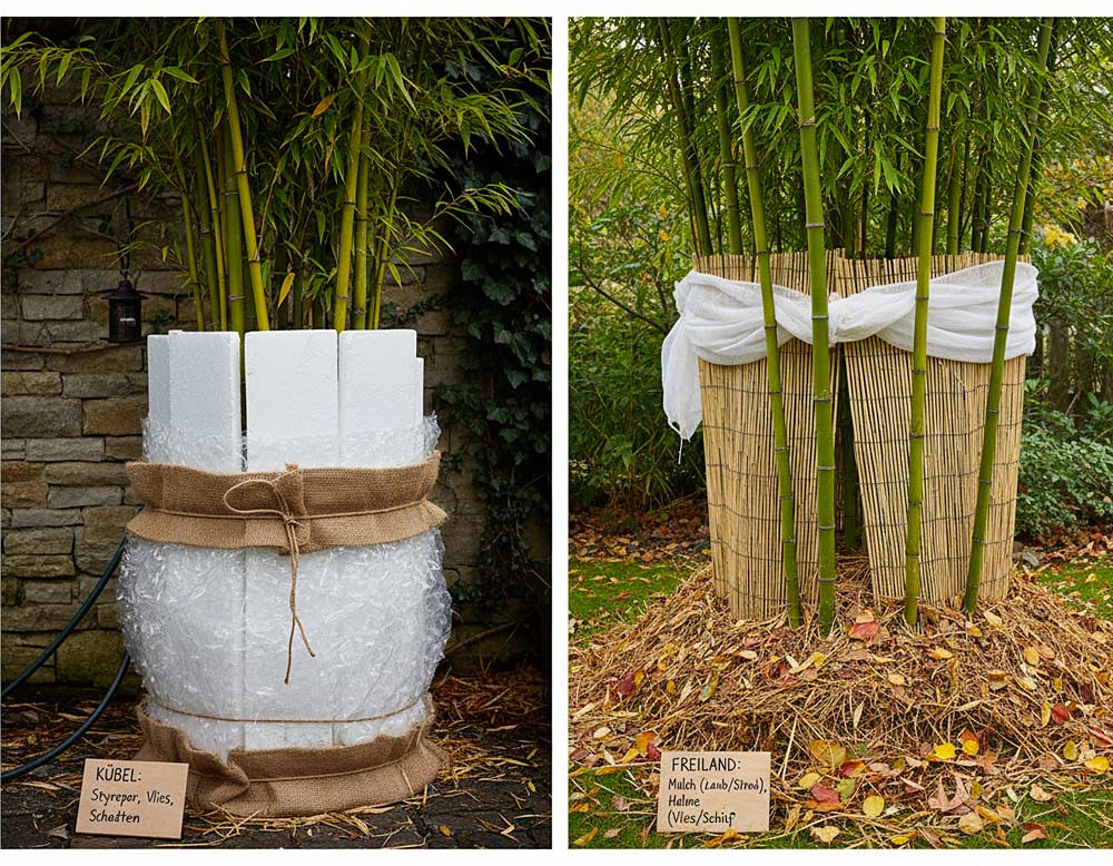 Du betrachtest gerade Bambus abdecken