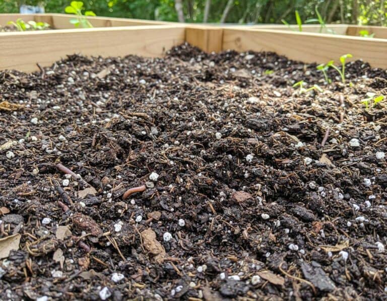 Mehr über den Artikel erfahren Was ist Hochbeeterde?