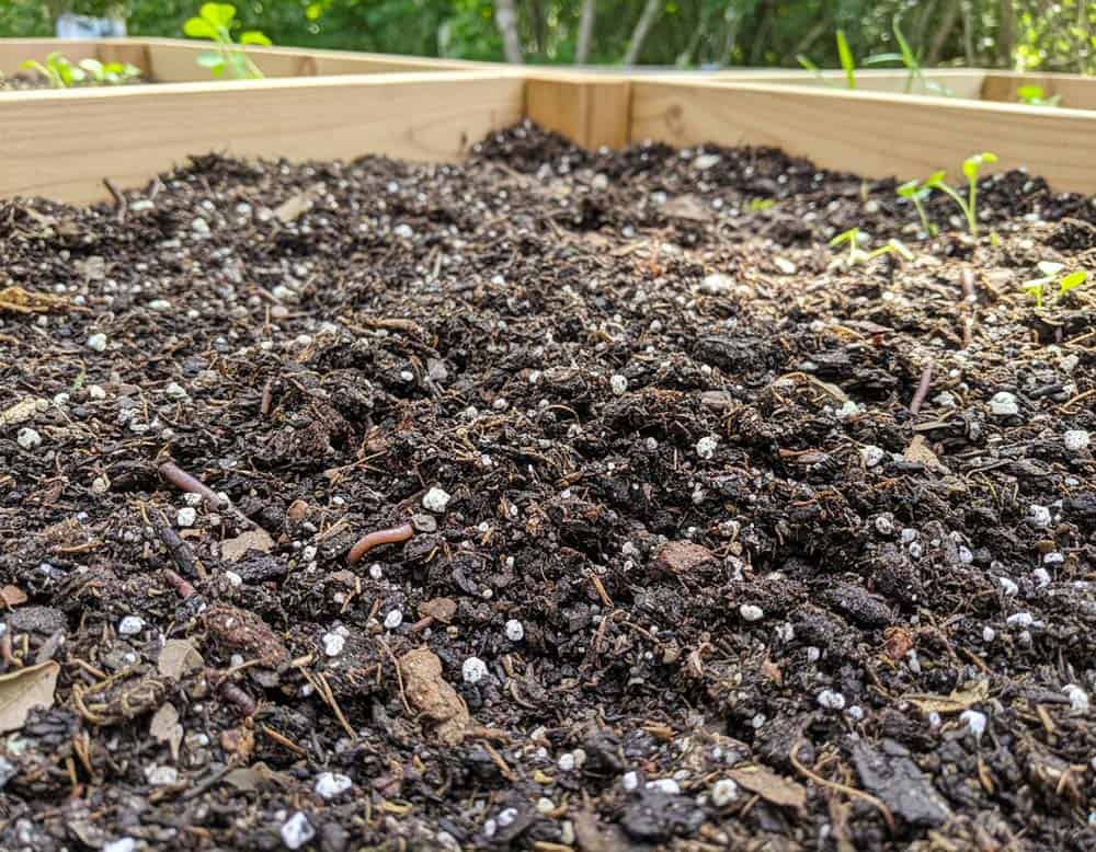 Du betrachtest gerade Was ist Hochbeeterde?