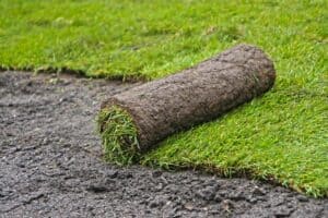 Mehr über den Artikel erfahren Rollrasen im Winter verlegen?