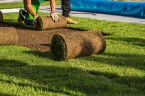 Mehr über den Artikel erfahren Rollrasen im Herbst verlegen?