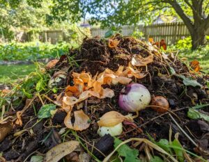 Mehr über den Artikel erfahren Zwiebeln auf den Kompost?