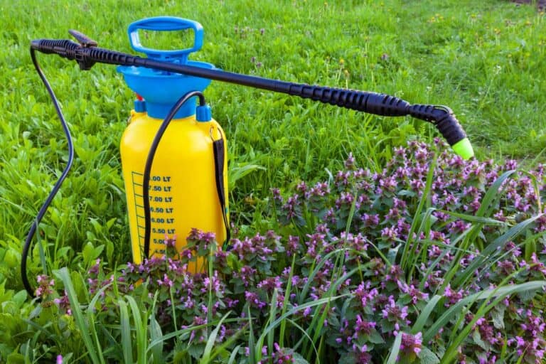Mehr über den Artikel erfahren Drucksprüher 8 Liter