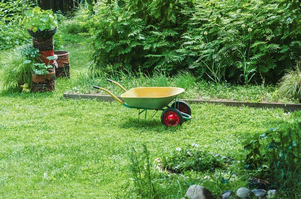 Du betrachtest gerade Gartenkarre