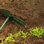 Hand Gartenhacke