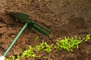 Mehr über den Artikel erfahren Hand Gartenhacke