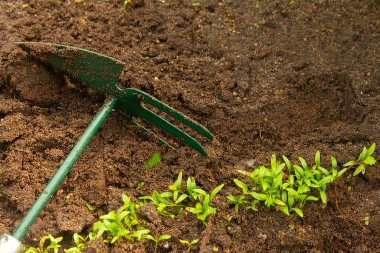 Mehr über den Artikel erfahren Hand Gartenhacke