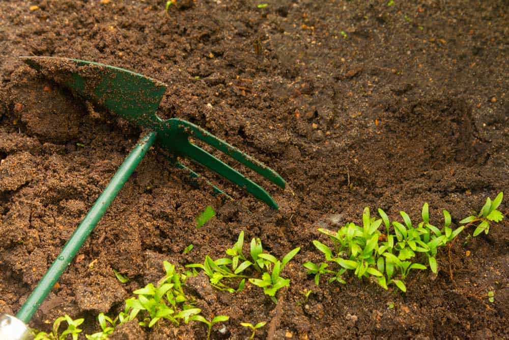 Du betrachtest gerade Hand Gartenhacke