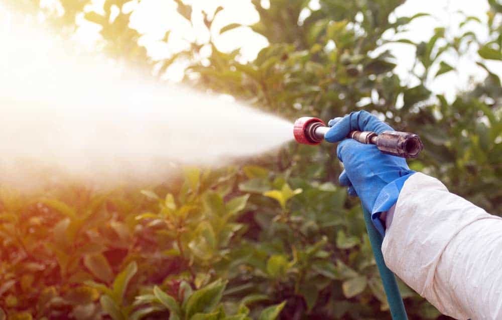 Du betrachtest gerade Hochdruck Gartenspritze