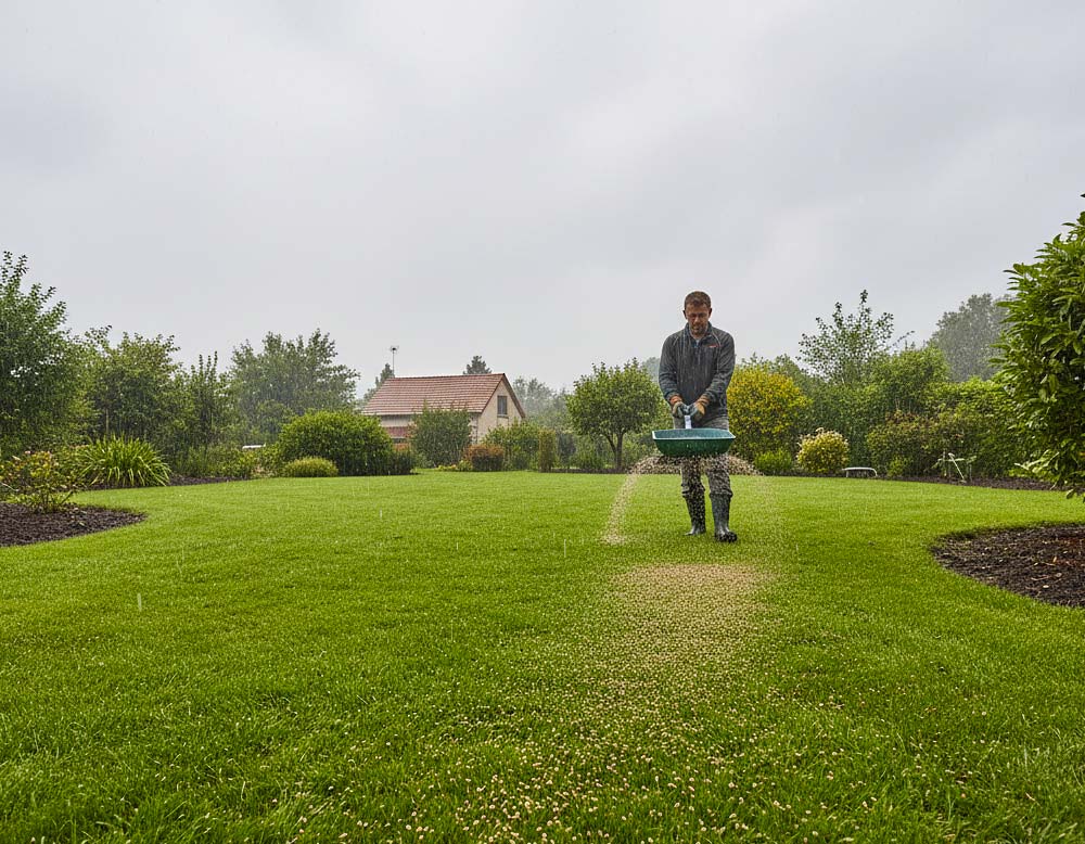 Du betrachtest gerade Bei welchem Wetter Rasen düngen?