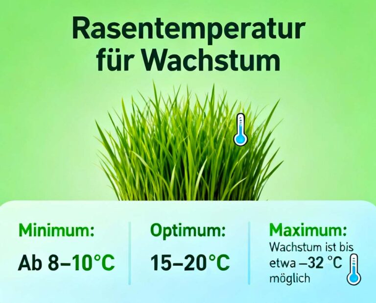 Mehr über den Artikel erfahren Ab welcher Temperatur wächst Rasen?