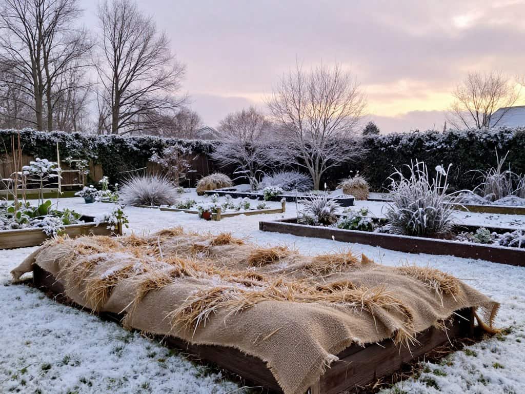 Hochbeet Abdeckung Tipps