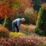 Garten Herbstschnitt: Was jetzt geschnitten wird und was besser stehenbleibt