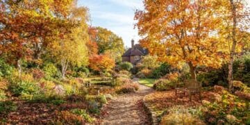 Laubbäume schneiden – Linde und Ahorn im Hausgarten im Herbst