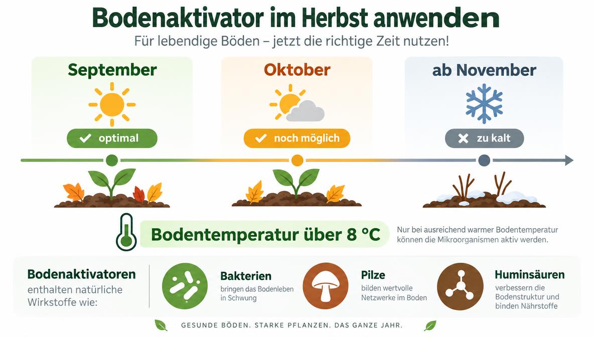 Bodenaktivator im Herbst Infografik: Optimaler Ausbringzeitpunkt und Bedingungen