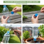 Flaschen Bewässerung selber bauen: Anleitung für Garten und Balkon